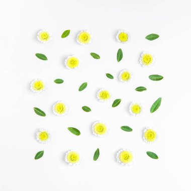 Pastel arka planda çiçeklerin yaratıcı yerleşimi