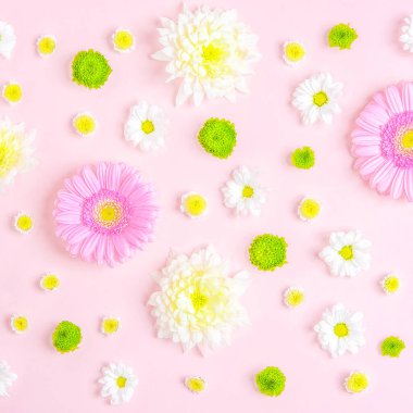 Pastel arka planda çiçeklerin yaratıcı yerleşimi