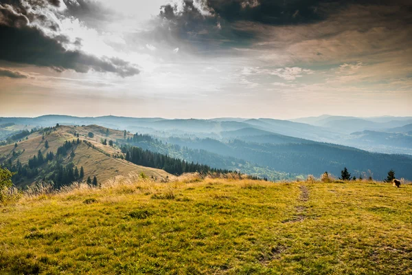 喀尔巴阡山脉的日落 — 图库照片