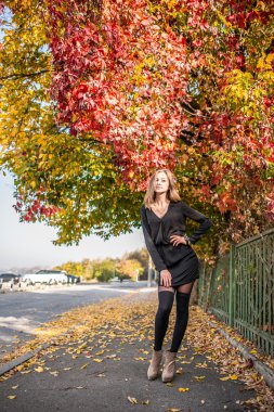 Çok şık Bayan sonbahar renkli ağacın yanında poz 