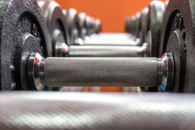 Halter salonunda hattı