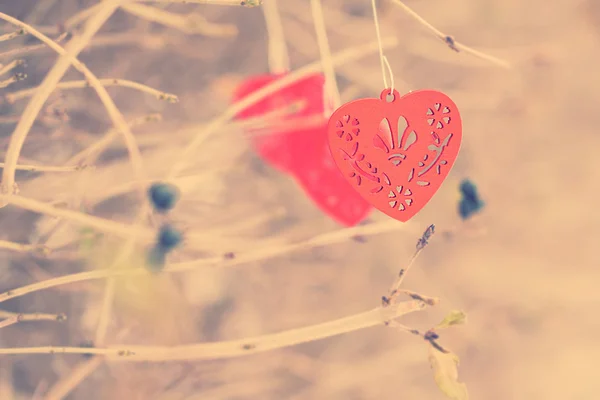 Cuori di legno rosso sul ramo — Foto Stock