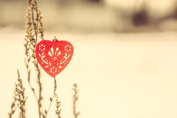 Red wooden hearts on the branch — Stock Photo, Image