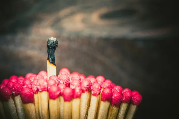 One burnes match standing out from the crowd — Stock Photo, Image