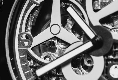 Makro çekim izle mevement 