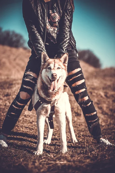 Menina e seu cão husky ao ar livre na floresta — Fotografia de Stock