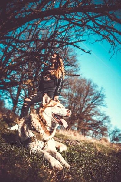 娘と森の屋外ハスキー犬 — ストック写真