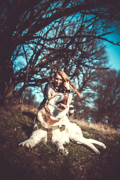 Chica y su perro husky al aire libre en el bosque —  Fotos de Stock