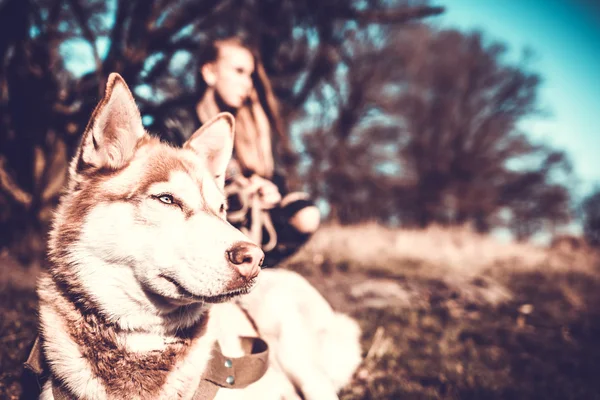 Fille et son chien husky en plein air dans la forêt — Photo
