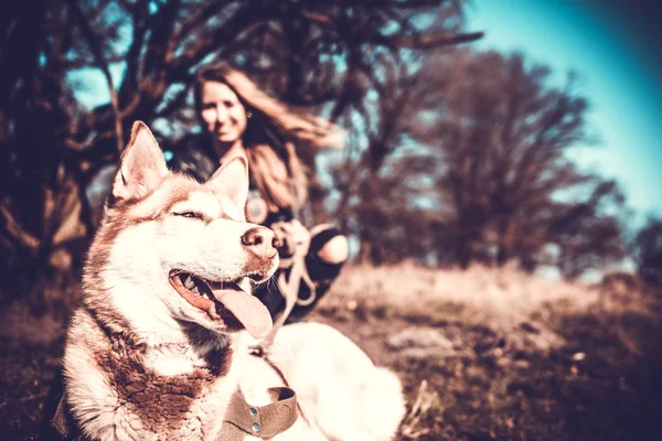 Ragazza e il suo cane husky all'aperto nella foresta — Foto Stock