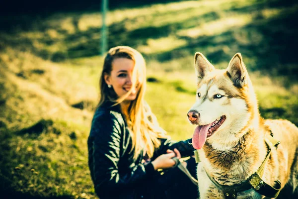Ragazza e il suo cane husky all'aperto nella foresta — Foto Stock