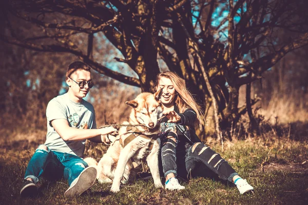 Kız ile erkek arkadaşı ve ormandaki açık onun husky köpek — Stok fotoğraf