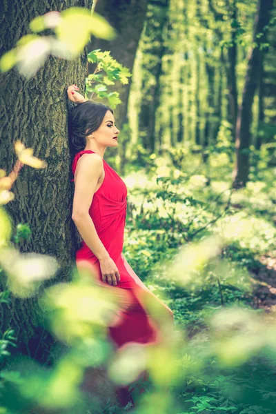 Donna in abito rosso lungo a piedi nella foresta — Foto Stock