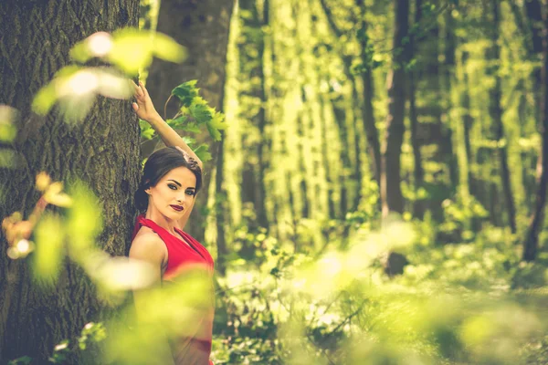 Frau im langen roten Kleid spaziert durch den Wald — Stockfoto