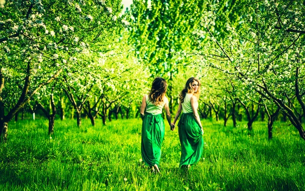 Girls walking on the apple trees garden — Stock Photo, Image