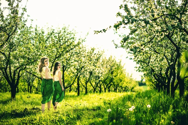 Women  walking on the apple trees garden — Stock Photo, Image