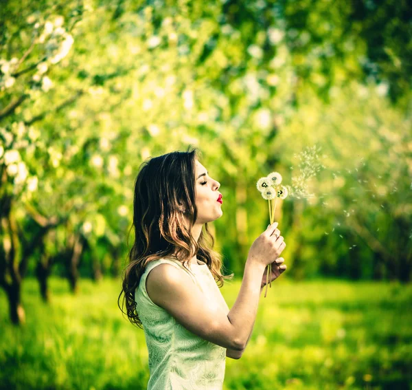 Woman in the garden blowing blowball flowers — Stock Photo, Image