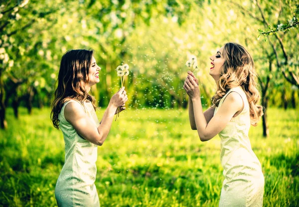 Women blowing blowball flowers in the garden — Stock Photo, Image