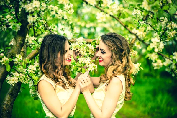 Two happy pretty women — Stock Photo, Image