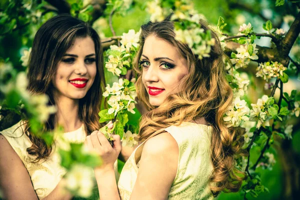 Twee gelukkige mooie vrouwen — Stockfoto