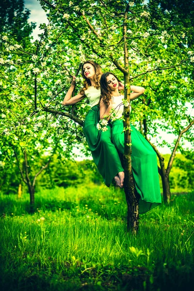 Wanita duduk di pohon apel mekar — Stok Foto