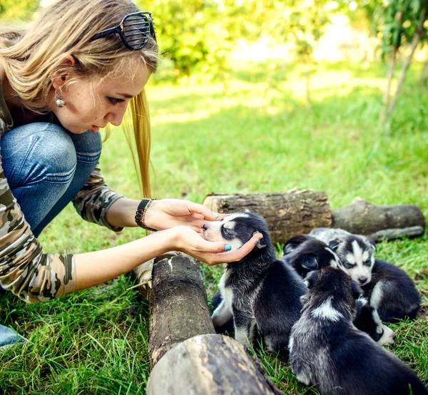 Piuttosto piccoli cuccioli husky — Foto Stock