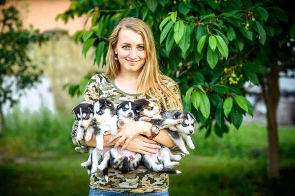 Piuttosto piccoli cuccioli husky — Foto Stock