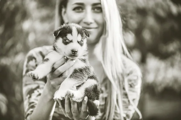 Bonito cachorrinho descascado — Fotografia de Stock