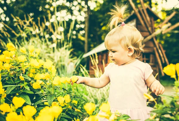 Pequena menina bonita entre flores — Fotografia de Stock