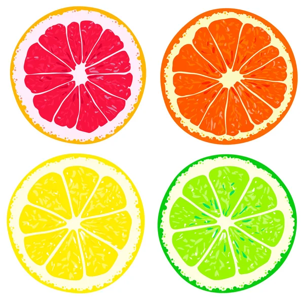 柑橘類の 4 つのスライス ロイヤリティフリーのストックイラスト