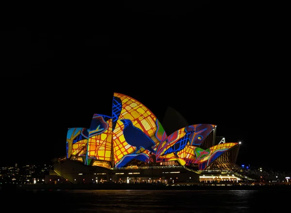 Sydney opera house tijdens de Sydney vivid festival-editie 2016 — Stockfoto