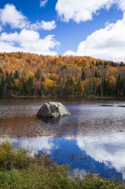 Gölde yansıtan dağ gelen güzel ve canlı sonbahar renk.
