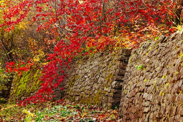 Le mur de pierre qui mène au jardin secret — Photo