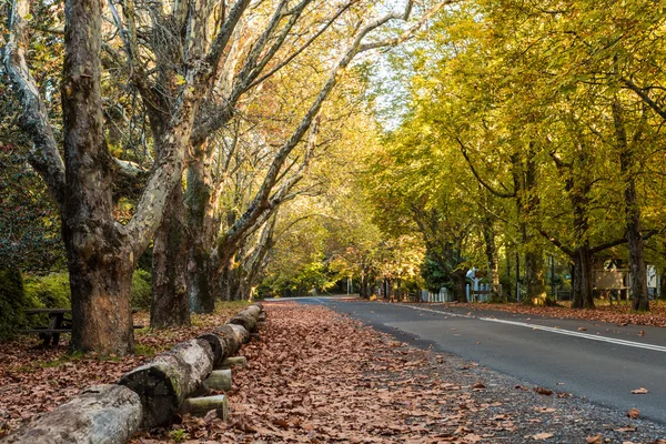 Vue de rue d'automne — Photo