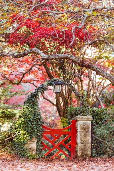 Jardín japonés de otoño con puerta roja —  Fotos de Stock