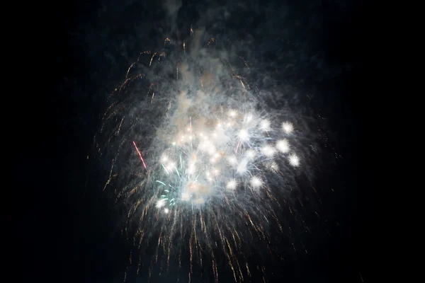 Tűzijáték, sötét ég ellen — Stock Fotó
