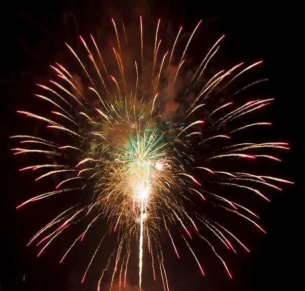 Feuerwerk vor dunklem Himmel — Stockfoto