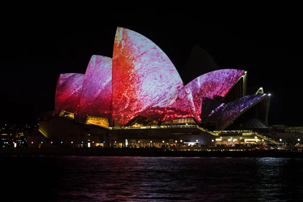 Sydney Opera House auf lebendigem Festival — Stockfoto