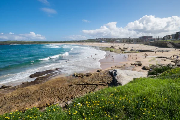 Maroubra beach — Stockfoto