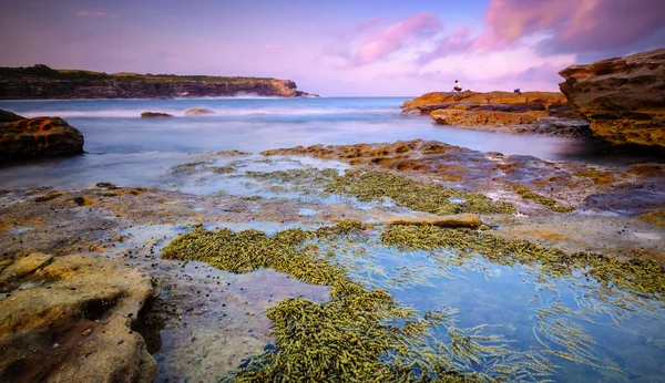 Beau paysage côtier — Photo