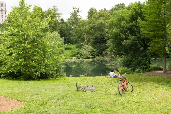 Lovers Central Park'ta gölet. — Stok fotoğraf