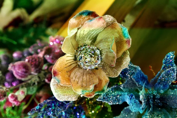 Christmas Fairy Gold flower — Stock Photo, Image