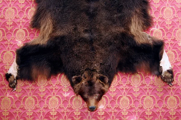 Medve Bőr Falon — Stock Fotó