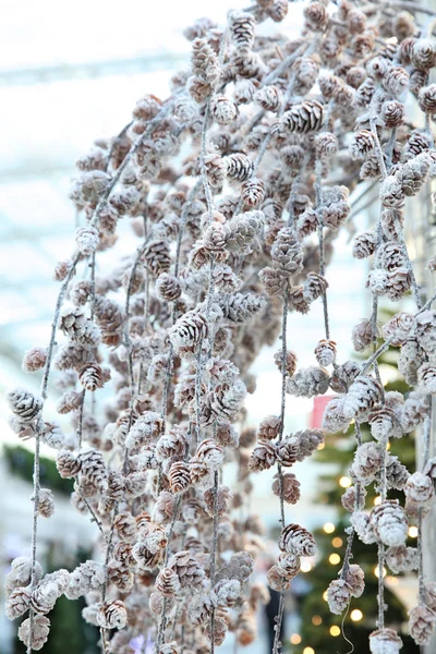 Christmas decor flowers — Stock Photo, Image