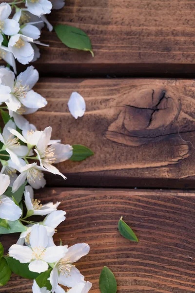 Ahşap arka planda çiçekler. Beyaz çiçeklerin yaprakları. 