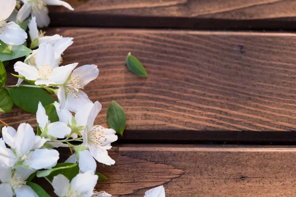 Ahşap arka planda çiçekler. Beyaz çiçeklerin yaprakları. 