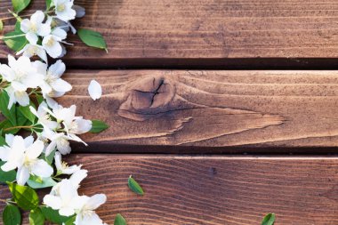 Ahşap arka planda çiçekler. Beyaz çiçeklerin yaprakları. 