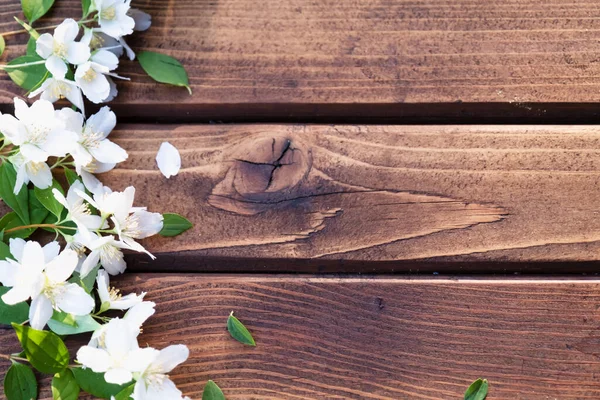 Ahşap arka planda çiçekler. Beyaz çiçeklerin yaprakları. 