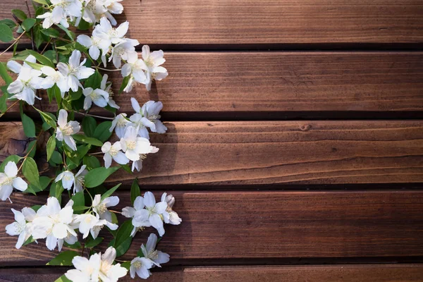 Ahşap arka planda çiçekler. Beyaz çiçeklerin yaprakları. 