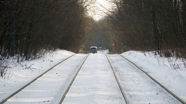 Tranvía Blanco Parque Invierno Sokolniki Moscú —  Fotos de Stock